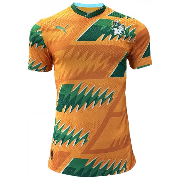 Ivory Coast special edition jersey player's soccer uniform men's yellow sportswear football kit top shirt 2023-2024
